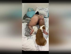 live bestiality animal