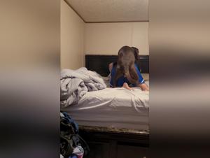 Découvrez l'Art de la Bestialité avec Notre Vidéo de Zoophilie