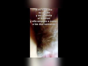 Sex with a kitten: a beastly experience