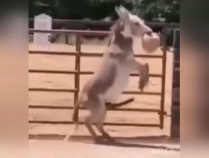 navigating the dark side of desire