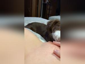 The Hottest Bestiality Sex Videos with Young Girls and Dogs