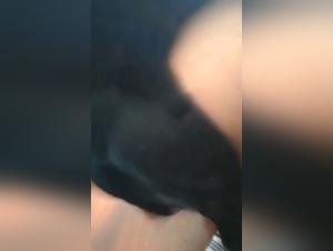 Intimate Moments with Canine Companions