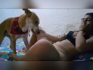 Shocking visions, canine escapes and wild animal desire