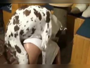 The Woman and Her Dog Make Love in This Extreme Bestiality Video