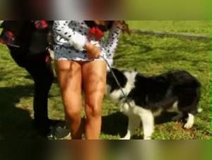 Extreme sex scene with a dog