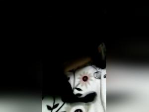 Bestiality Video: An Extreme Experience