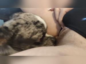 Dog sex video: don't miss it