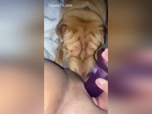 Extreme Bestiality Video