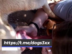 Explore Hell Delight: Dog Sisters, Wild and Unknown Fuck