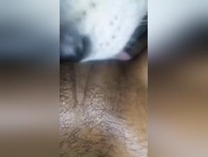 New zoophilia video with an ebony and her dog