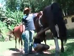 Splashes and Deep Penetrations with a Stallion