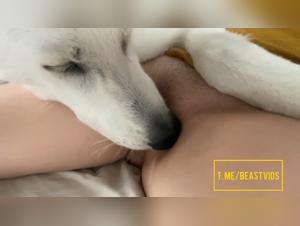 troie e cani: un'unione perversa e sensuale