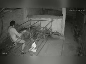 Guarda la passione cruda (e la perversione) tra una donna e il suo cane, dal vivo.