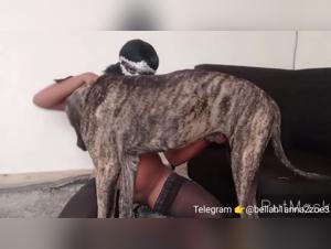 Video of intense and extreme zoophilia