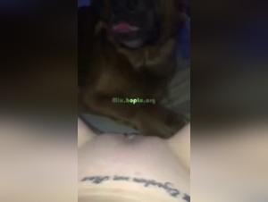 Zoophilia video with a dog