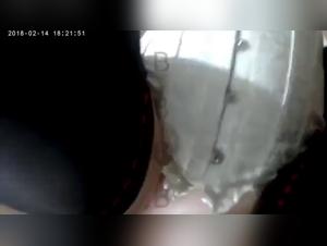 Dog sex video: two dogs and a woman in a bestiality scene