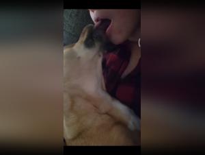 Discover the world of bestiality and sex with animals