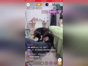 Svela fantasie oscure: una donna cinese con il potere del cane