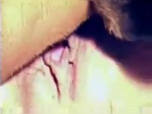 An Intense Zoophilia Experience with a Dog