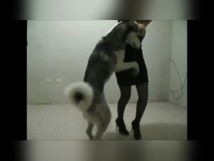Voyez les images de fesse asiatique baise avec chien