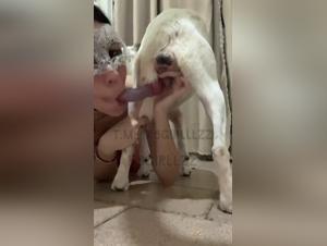 Cane pompino per adolescenti, intenso zoofilia