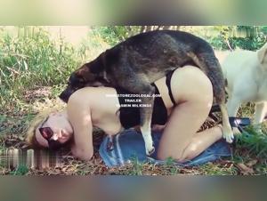 Orge di sgualdrine, cani e animali crudi