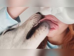 Extreme Animal Sex Experience on XVideoZoo