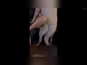 Animal orgies: wild excitation revealed