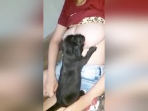 Zoophilia video: an extreme experience