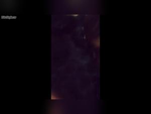 Exploring the Taboo of Dog Sex Videos