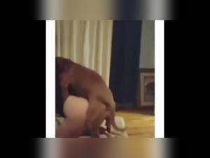 Vidéo de sexe avec chien : une scène de zoophilie extrême