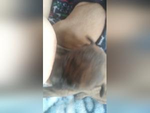 Zoophilia videos with hungry dogs