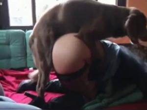 Una mamma dell'eta dell'oro gioca con il suo cane per un momento di sesso con gli animali