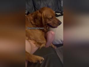 Guaranteed Satisfaction: Intense and Controlled Animal Sex