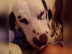 Dog sex video: a woman and her pet