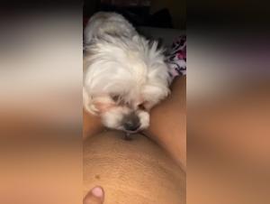 Scenes of extreme bestiality and hard sex with a dog