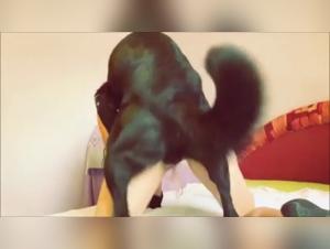 Watch this Hard Bestiality Video and Discover the Art of Bestiality