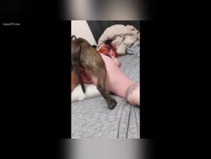 Sex video with a dog: Amateur and hard