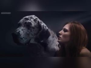 Scenes of Bestiality and Extreme Sex