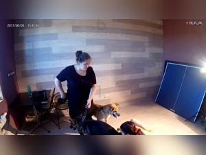Teamschlampe: rucksichtslose und uppige Hundeorgien