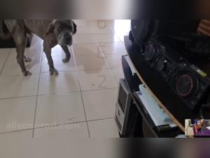 denise frazier in action