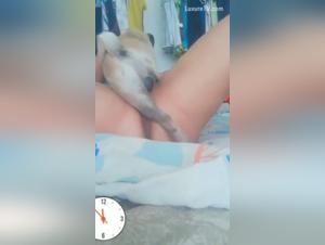 Discover the World of Dog Sex in This Exclusive Video