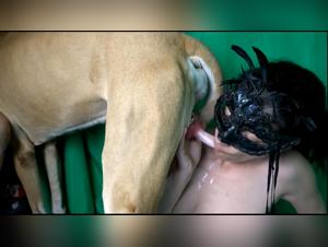 The Romantic Rim's Passion for Bestiality