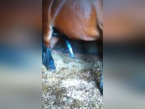 Gay Tube Videos for All Tastes