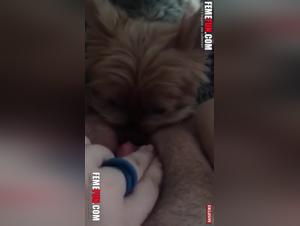 Bestiality sex video with dog