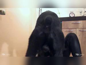 La salope en train de sucker son chien avec passion