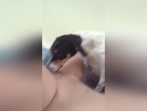 Sex video with dog: amateur and hard