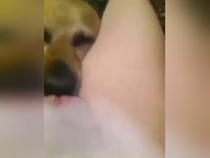 Unanstandige erotische Erlebnisse: Wenn der Hund zum Herrn wird