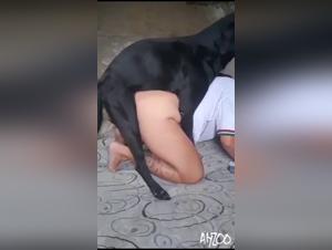 This Brazilian Wife Is Getting Intimate with Her Dog 