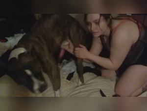 erotic dogs knot girls